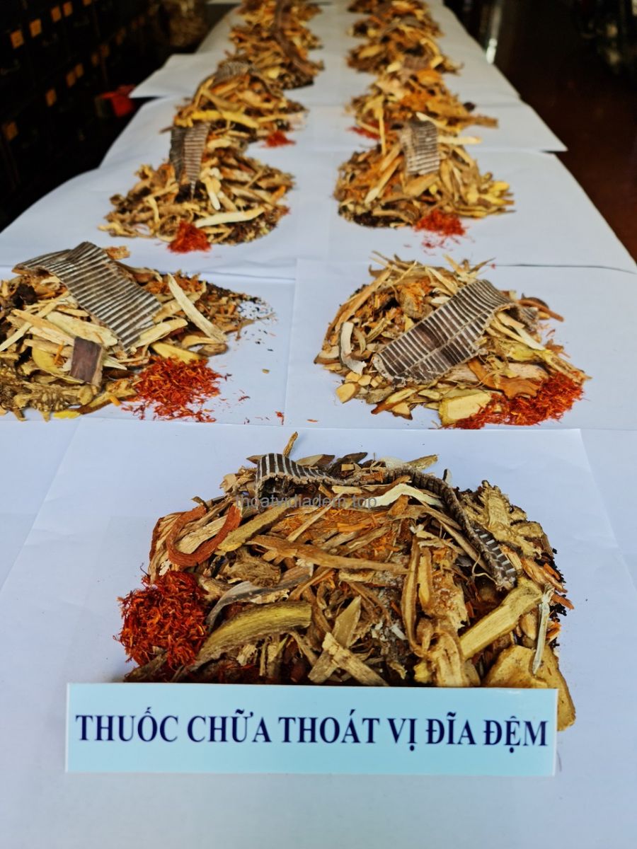 Thuốc chữa thoát vị đĩa đệm 